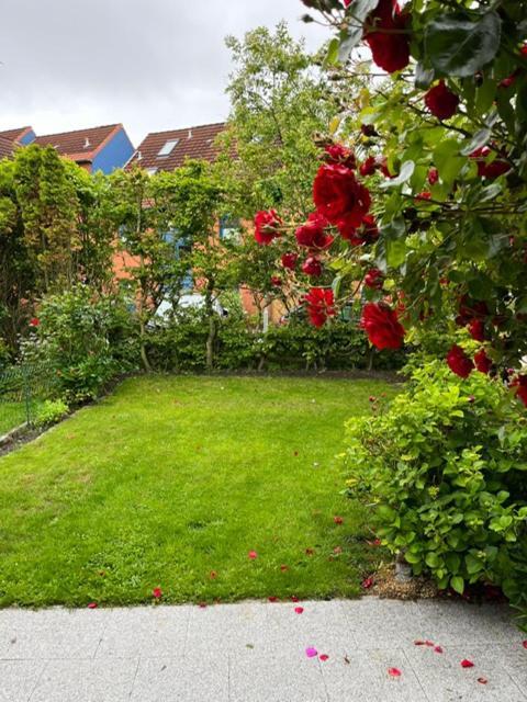 Ferienapartment Rosengrund ビューズム エクステリア 写真